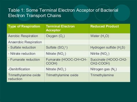 terminal electron acceptor in fermentation|list of electron acceptors.